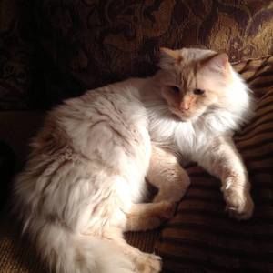 Meet your Posher, Tracy